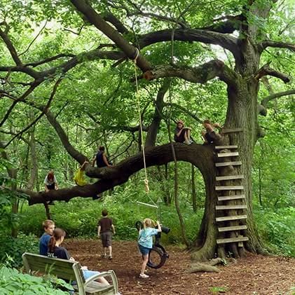 construieste-o-casa-in-copac-pentru-copilu-tau-24-idei-magice-2001