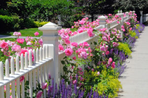 Tipuri și modele de gard: ce alegi pentru grădina ta?